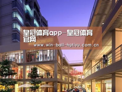 案例展示一